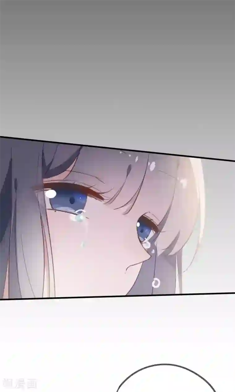 我的猫仙大人第37话 小狼与兰草