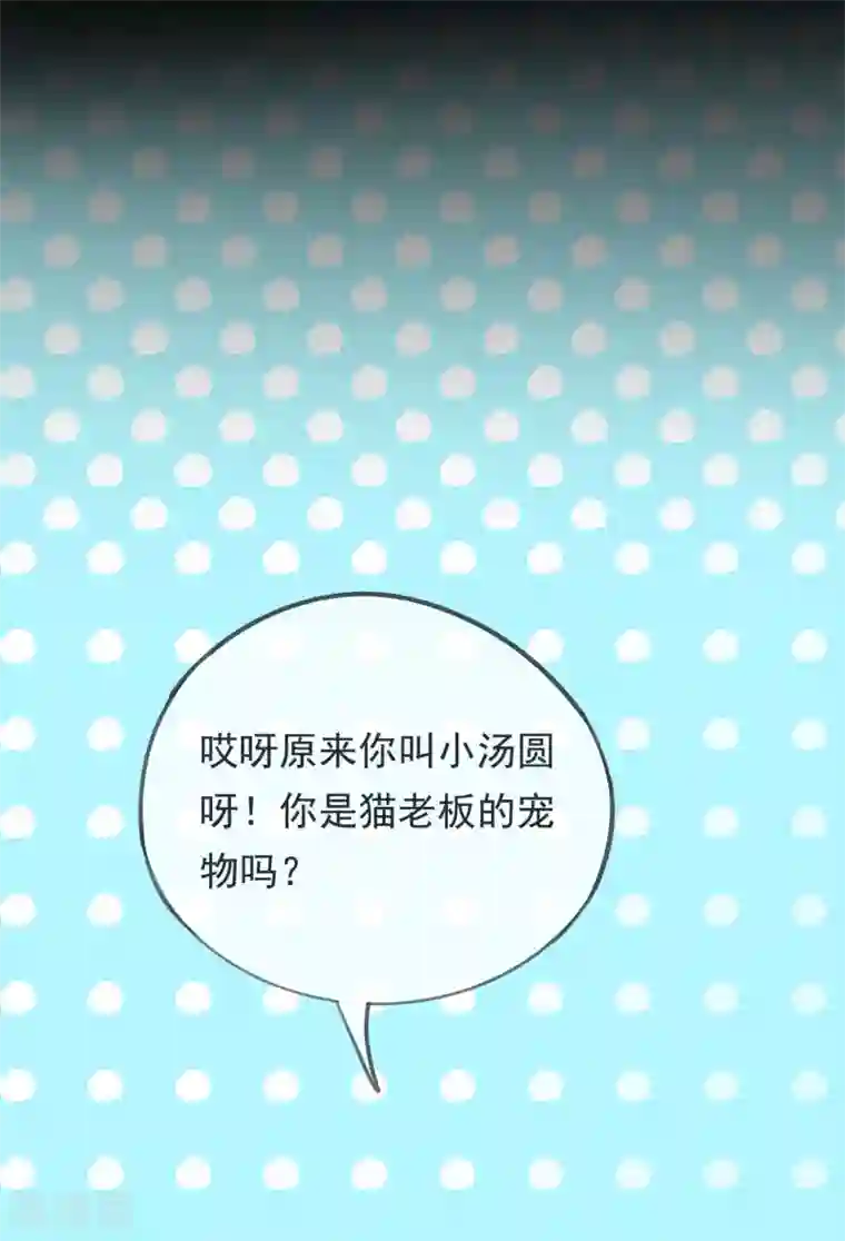 我的猫仙大人第38话 让人熟悉的客栈