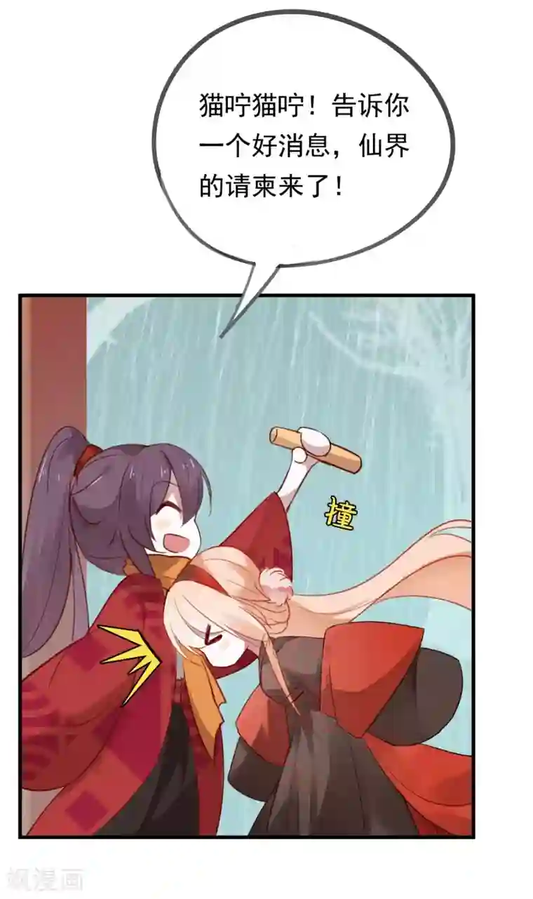 我的猫仙大人第39话 来自仙界的请柬