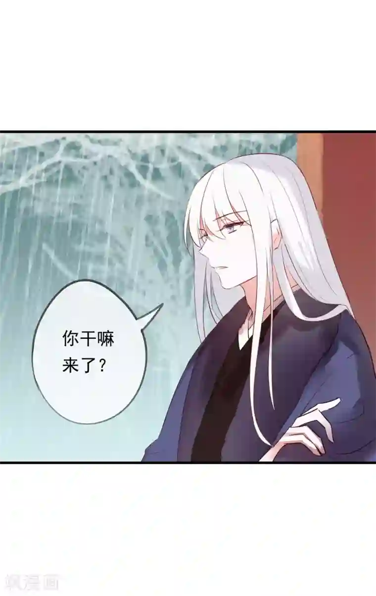 我的猫仙大人第39话 来自仙界的请柬