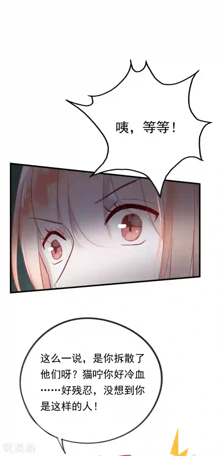 我的猫仙大人第39话 来自仙界的请柬