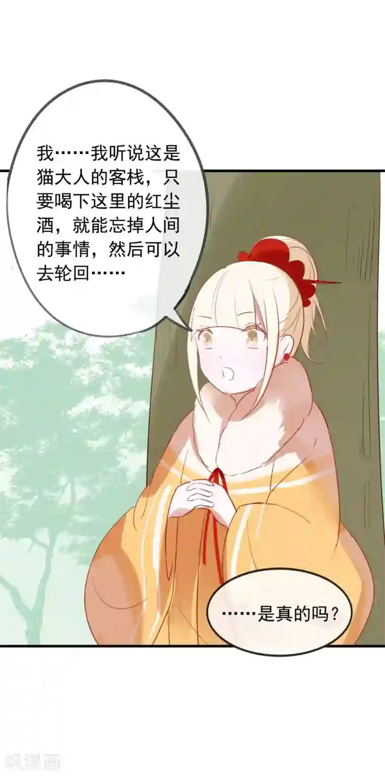 我的猫仙大人第40话 小酒馆的新客人
