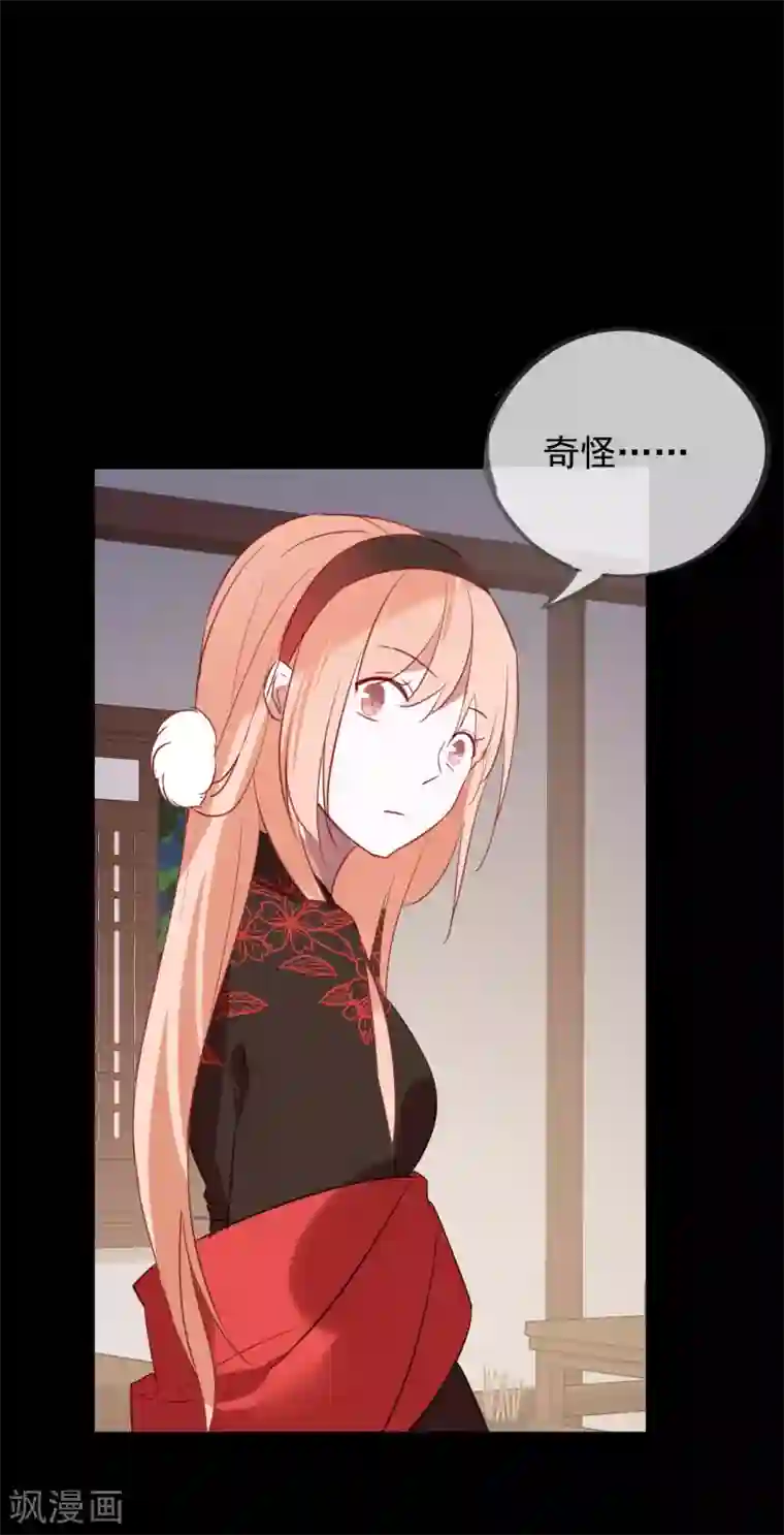 我的猫仙大人第40话 小酒馆的新客人