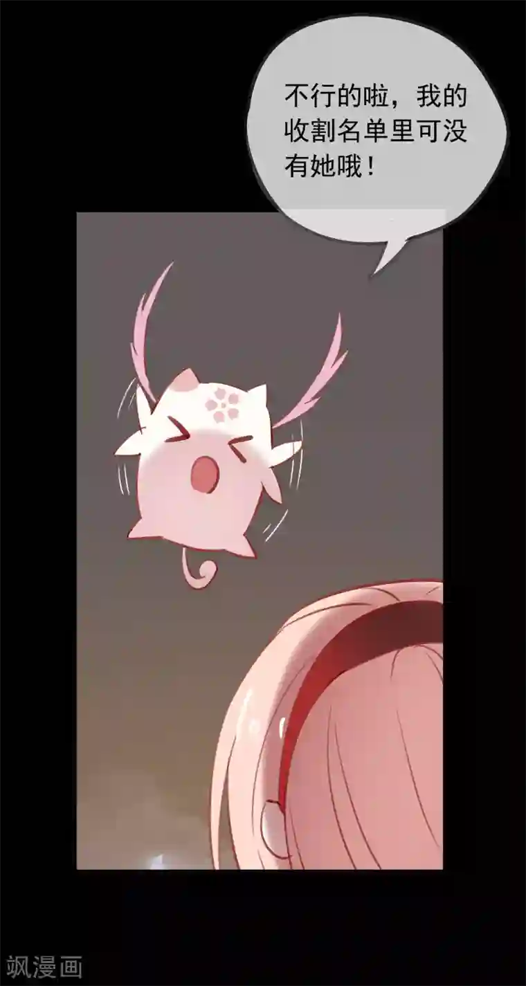 我的猫仙大人第40话 小酒馆的新客人