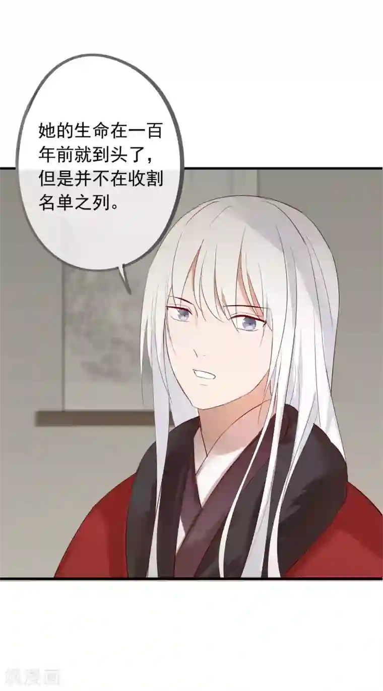 我的猫仙大人第41话 神仙大人动心了？