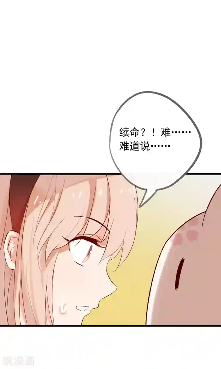 我的猫仙大人第41话 神仙大人动心了？