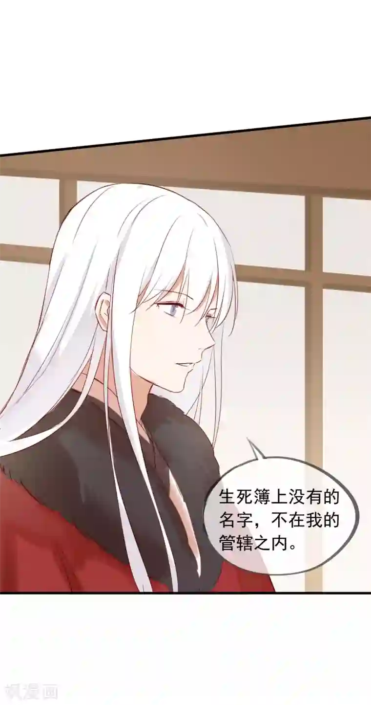 我的猫仙大人第41话 神仙大人动心了？