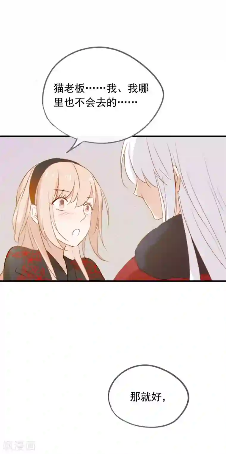 我的猫仙大人第41话 神仙大人动心了？