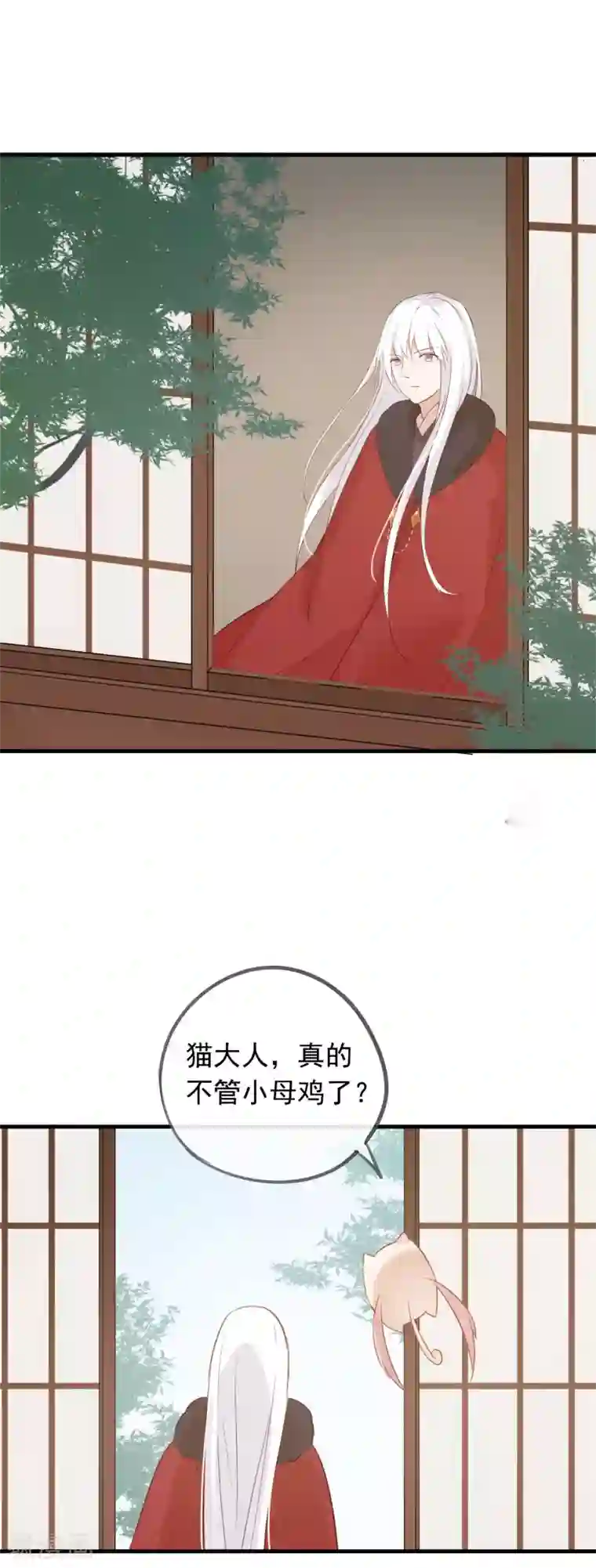 我的猫仙大人第41话 神仙大人动心了？