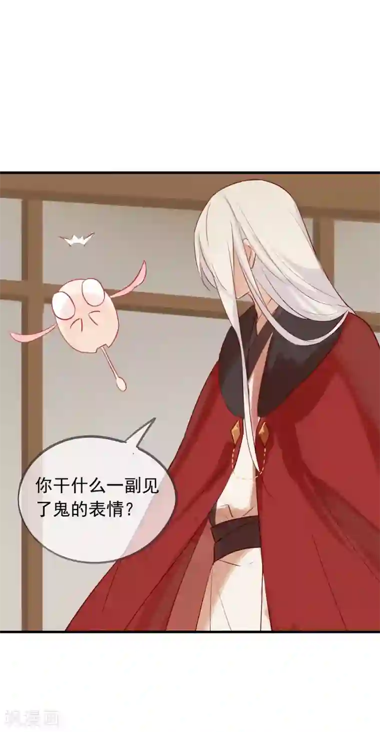 我的猫仙大人第41话 神仙大人动心了？