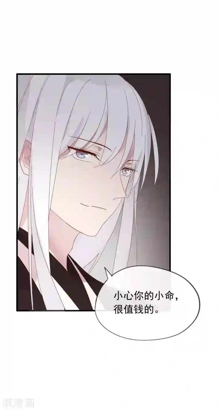 我的猫仙大人第44话 还魂丹！