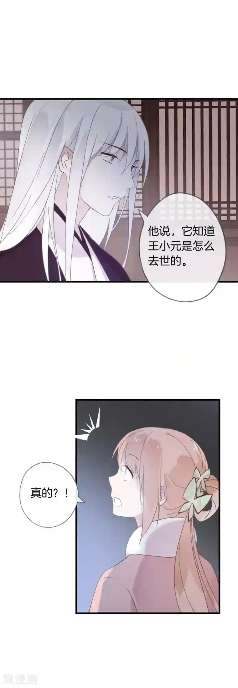 我的猫仙大人第49话 金蛋