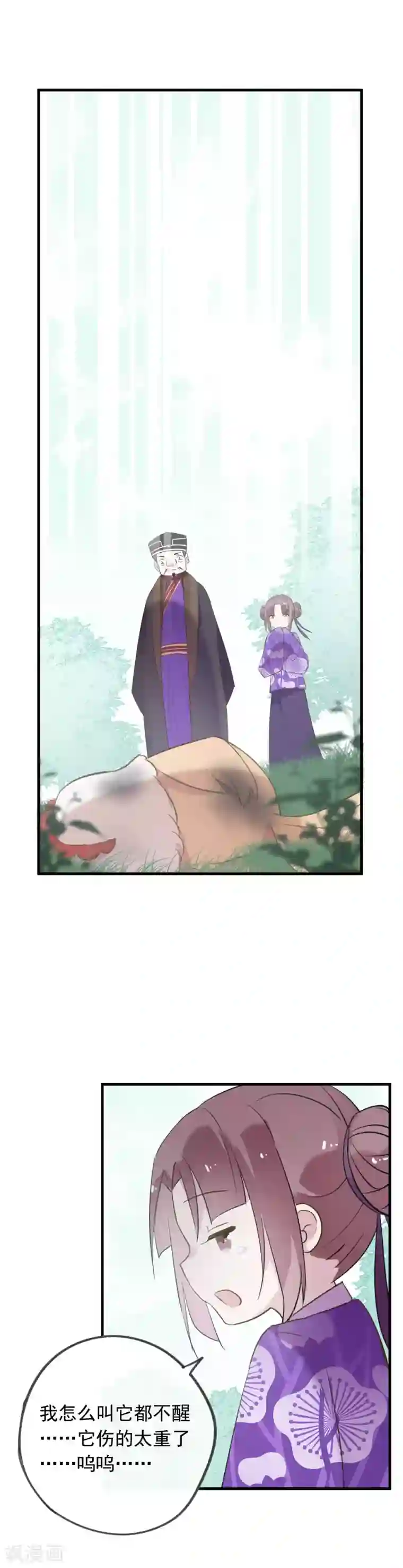 我的猫仙大人第50话 我决定和他成亲！