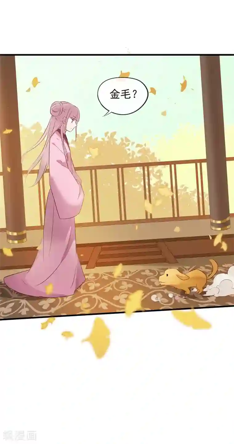 我的猫仙大人第55话 我不允许你结婚！