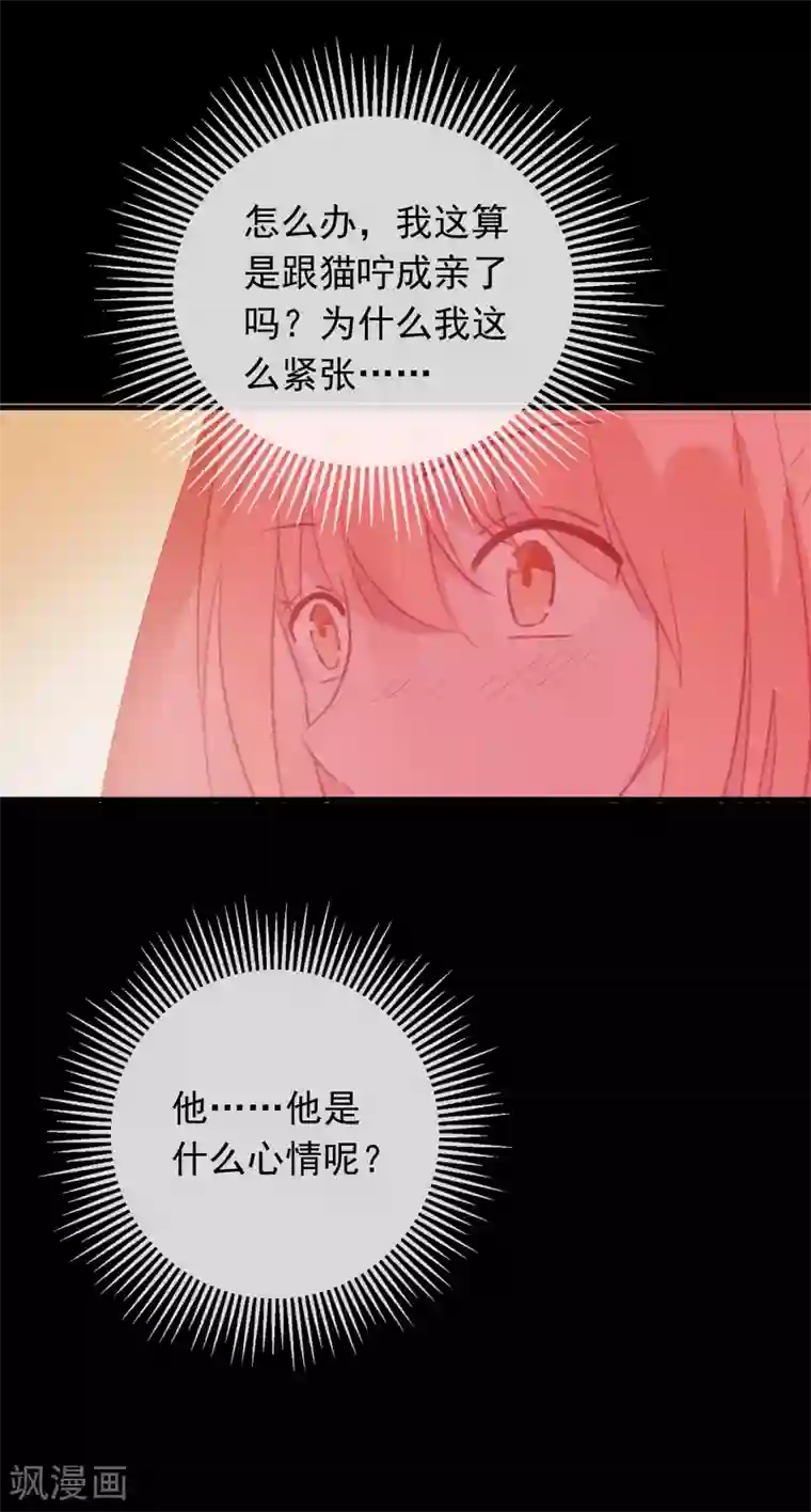 我的猫仙大人第56话 黑商