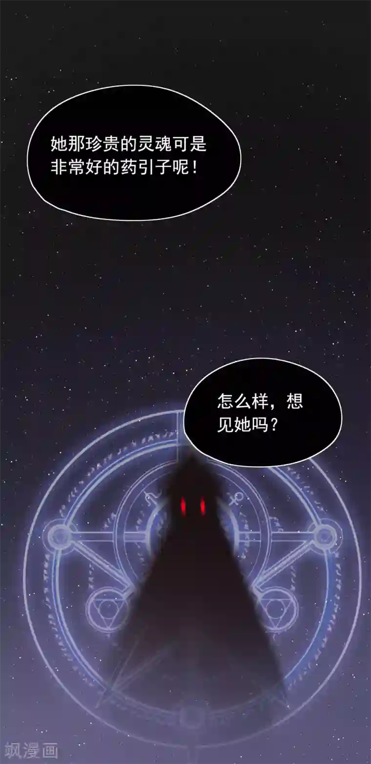 我的猫仙大人第57话 炼药？！