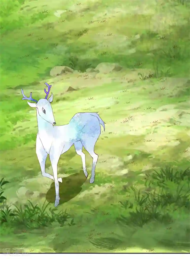 喂！别动我的奶酪第131话 远方的思念