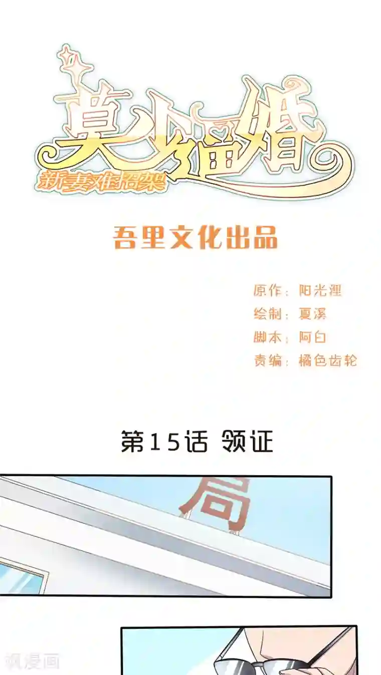 莫少逼婚，新妻难招架第15话 领证