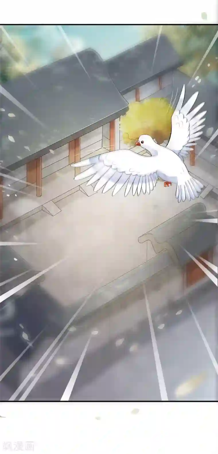 白莲妖姬第45话 每个人都有自己的秘密？
