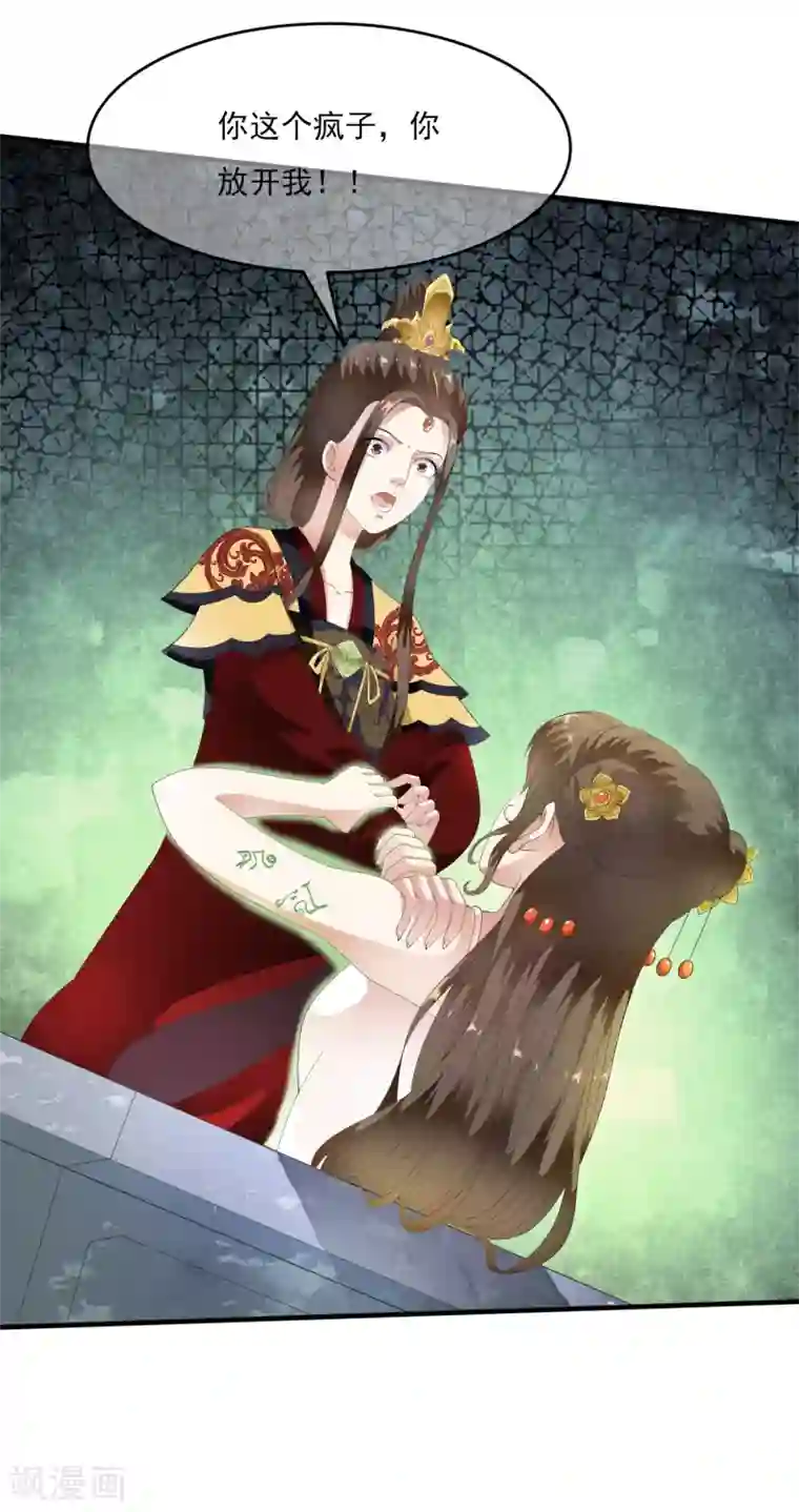 白莲妖姬第63话 不惜代价的阴谋！