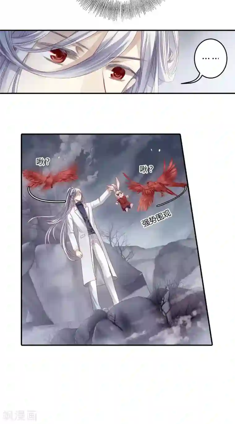 哑舍第98话 乌金鼎（三）