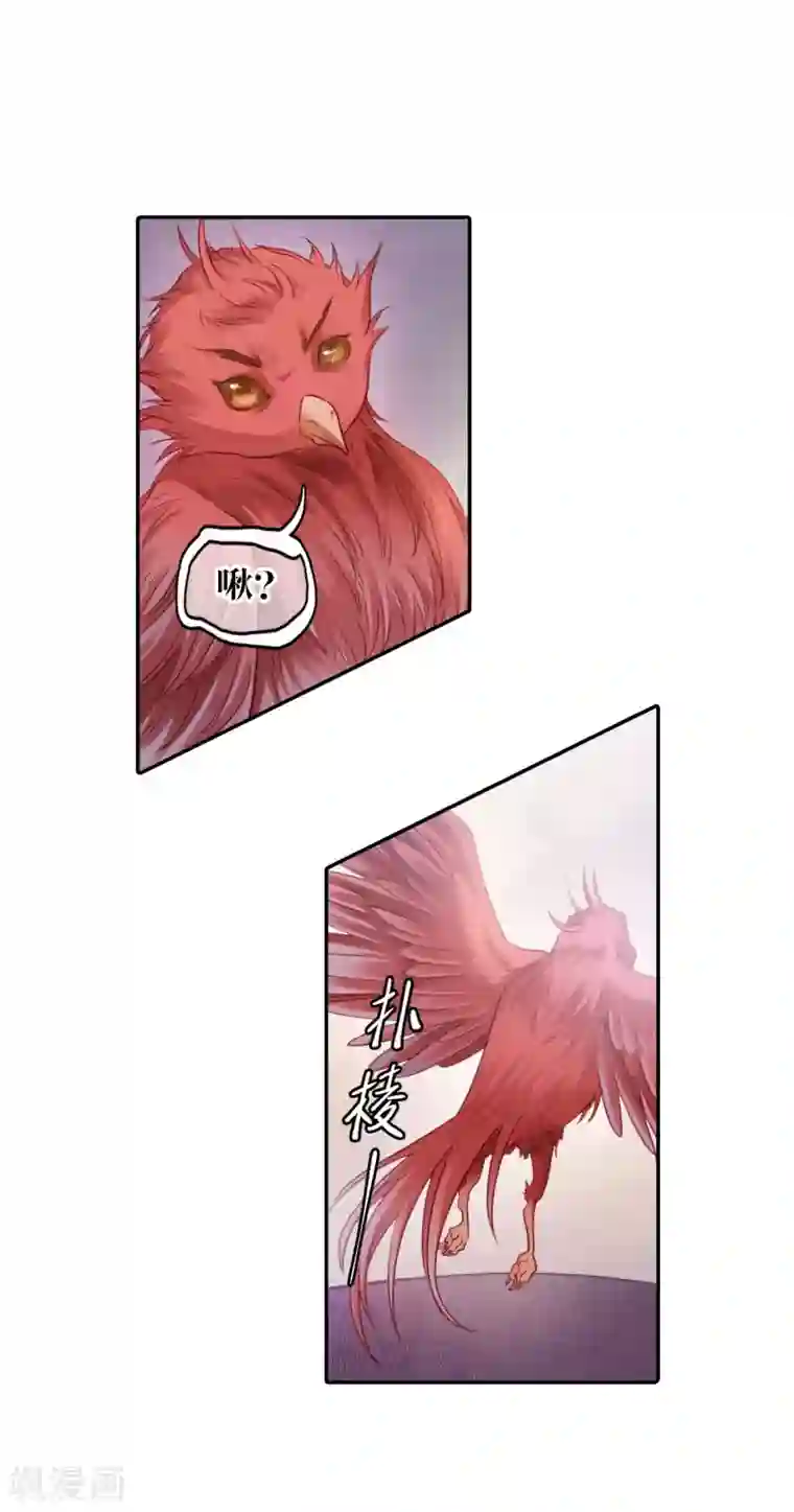 哑舍第124话 司南杓（一）