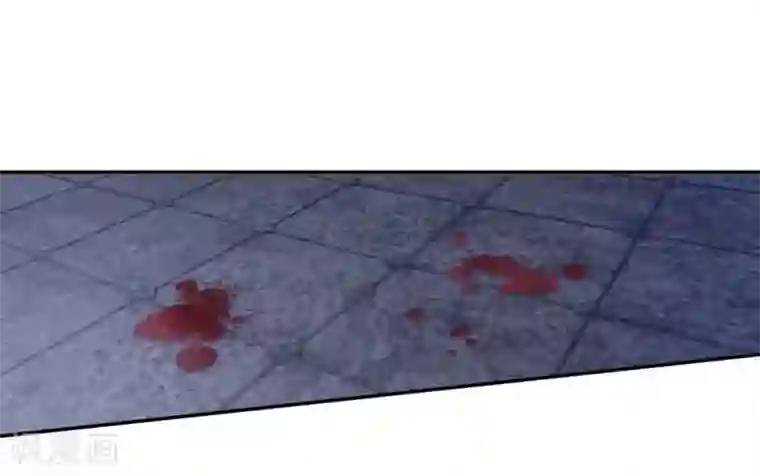 哑舍第135话 犀角印（六）