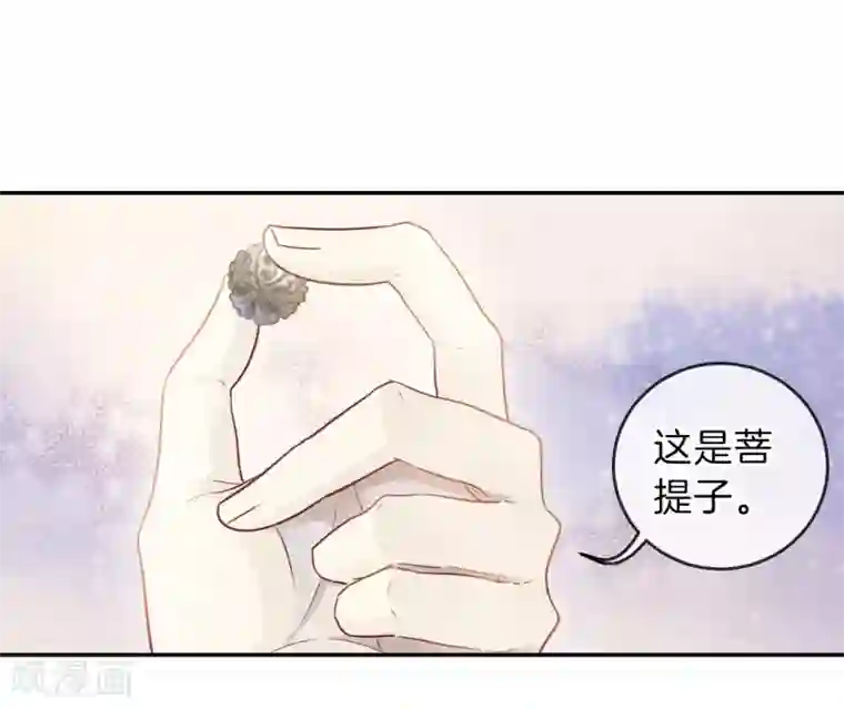 哑舍第137话 菩提子（二）