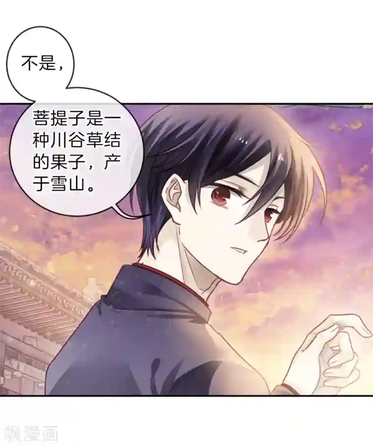 哑舍第137话 菩提子（二）