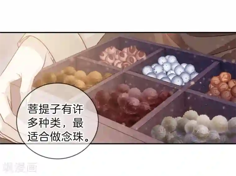 哑舍第137话 菩提子（二）