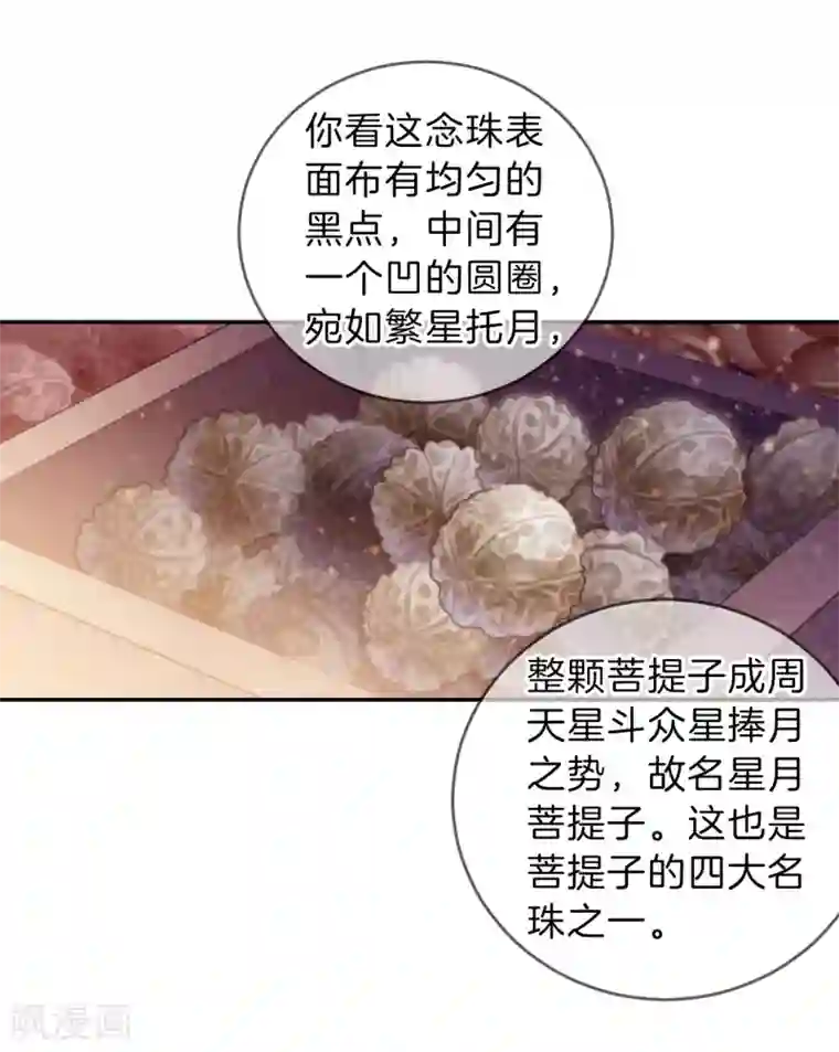 哑舍第137话 菩提子（二）