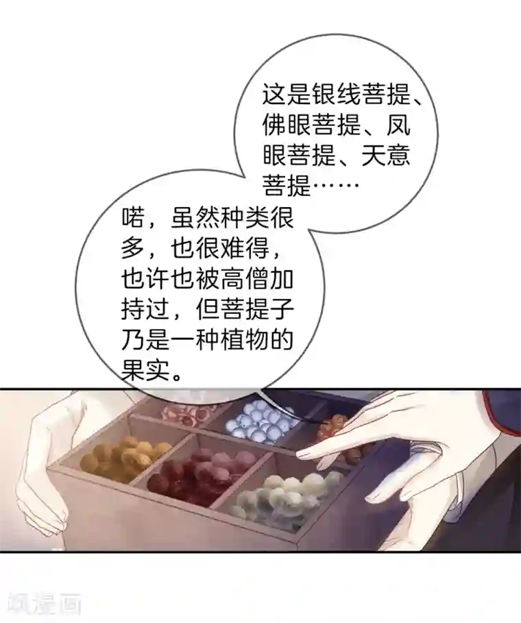 哑舍第137话 菩提子（二）