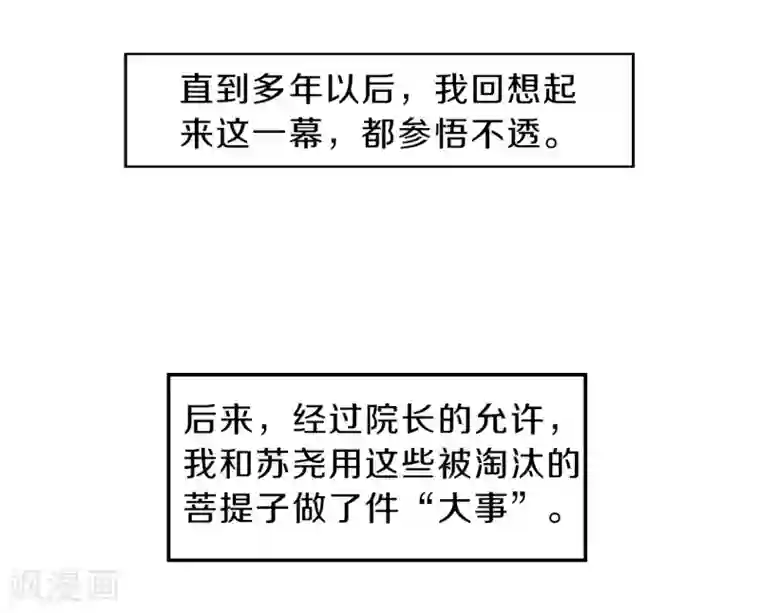哑舍第137话 菩提子（二）