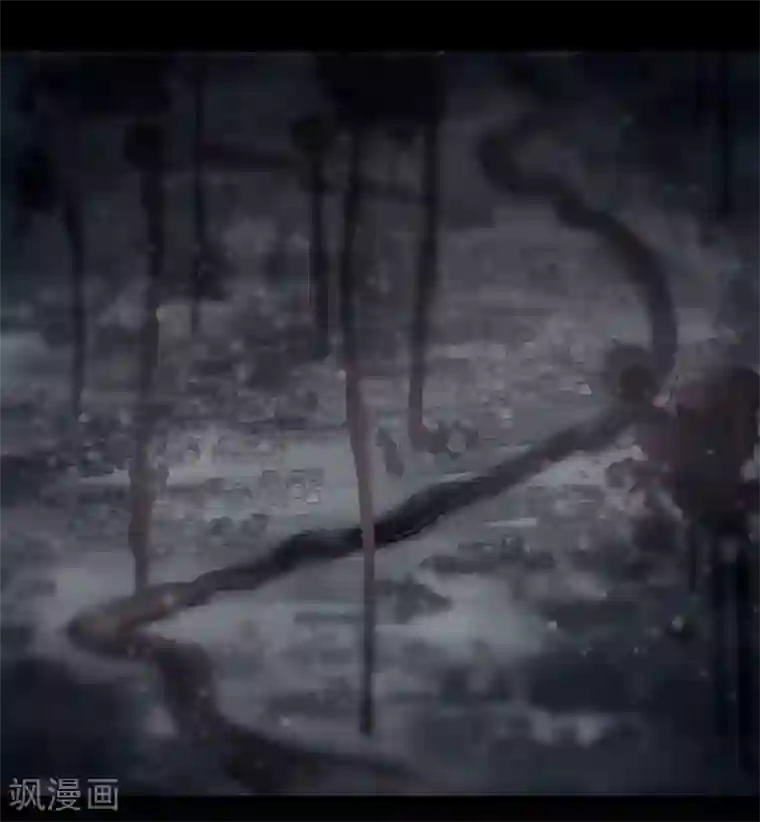 哑舍第139话 菩提子（四）