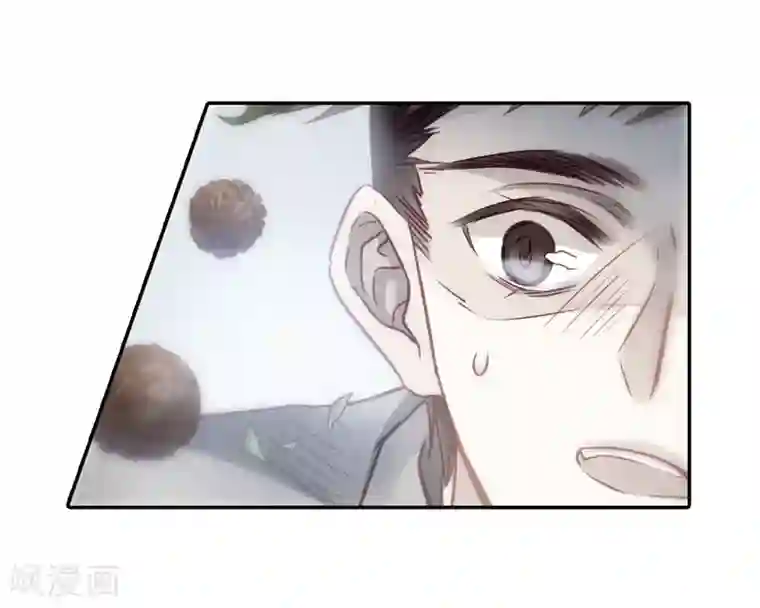 哑舍第139话 菩提子（四）