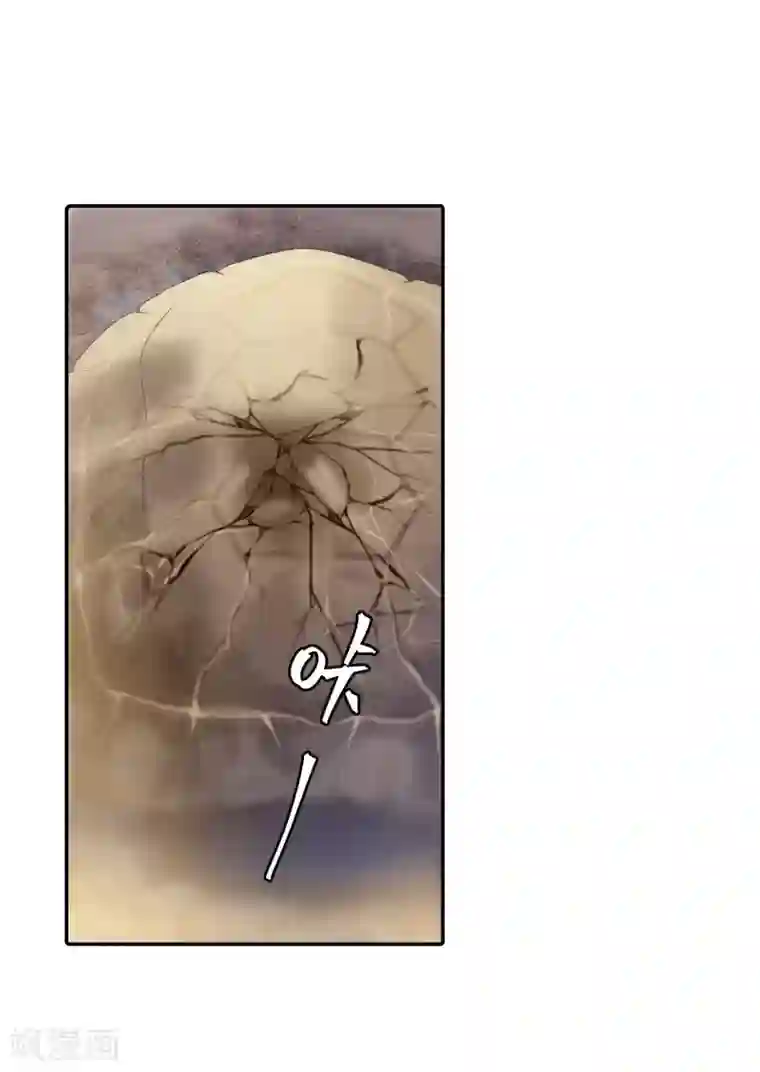 哑舍第170话 涅罗盘（五）