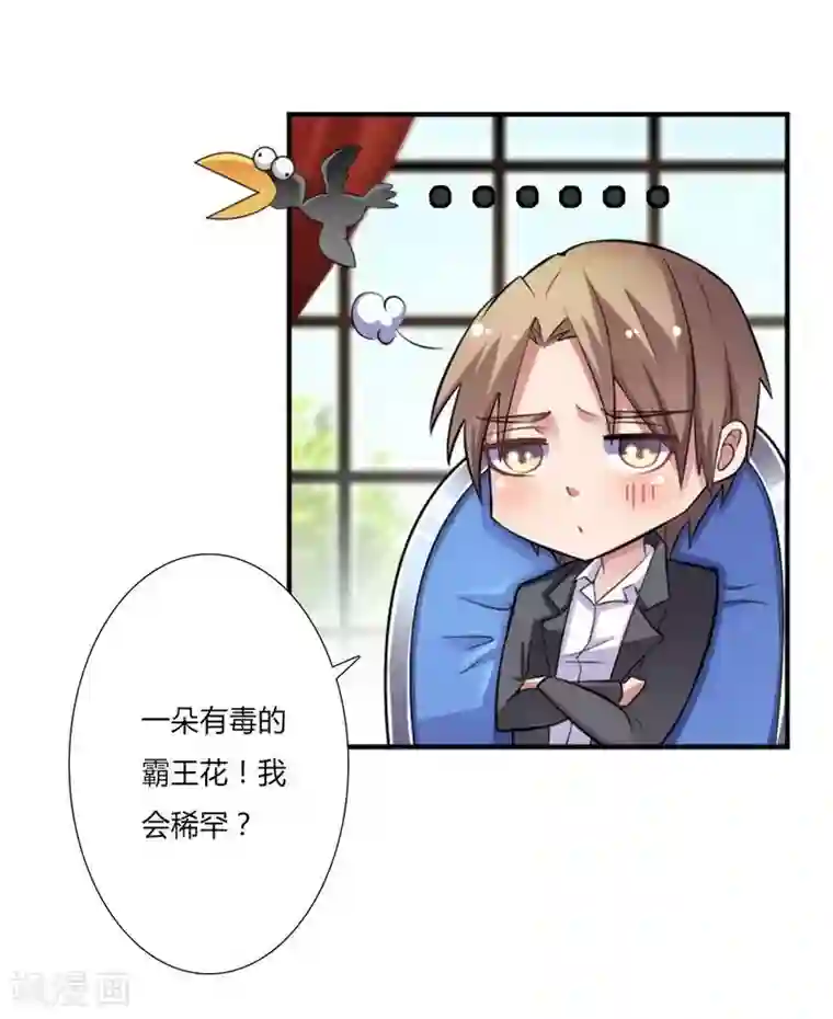 致命宠情:总裁纳命来第13话 你是我的情人