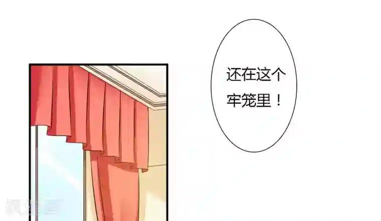 致命宠情:总裁纳命来第25话 莫小黛怀孕