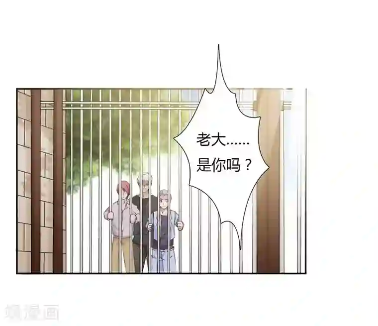 致命宠情:总裁纳命来第25话 莫小黛怀孕