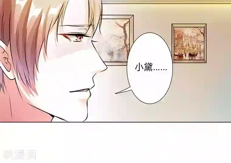 致命宠情:总裁纳命来第47话 陆氏的前后身世