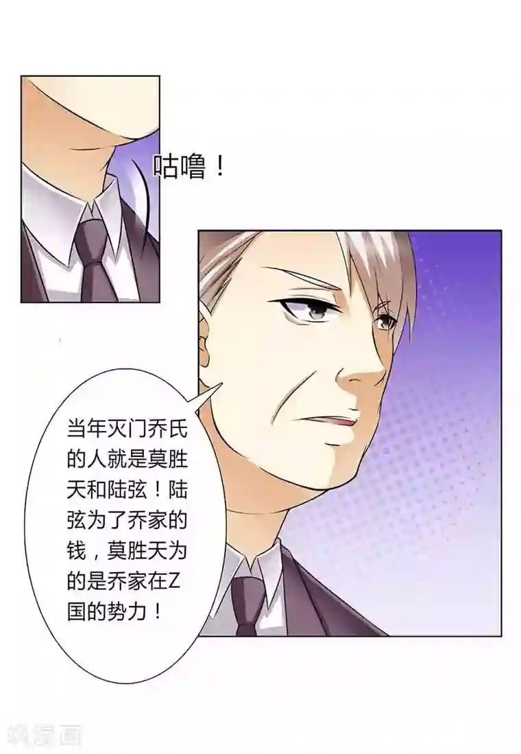 致命宠情:总裁纳命来第47话 陆氏的前后身世