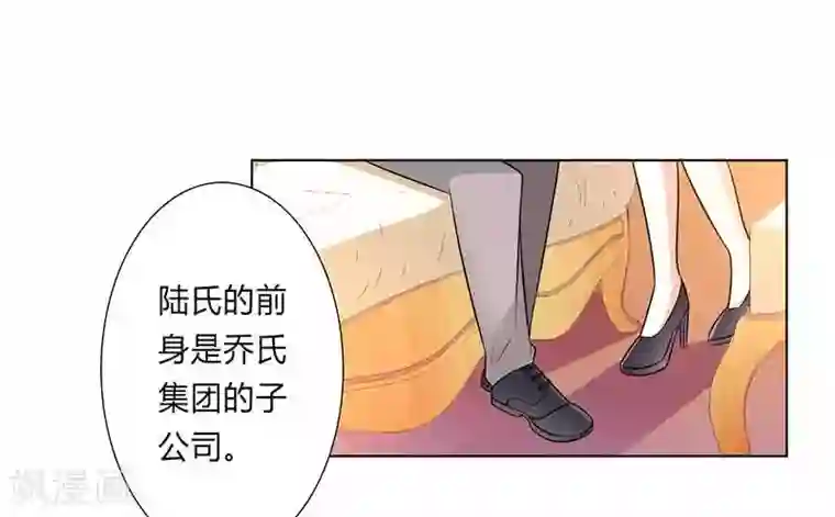 致命宠情:总裁纳命来第47话 陆氏的前后身世