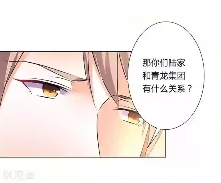 致命宠情:总裁纳命来第47话 陆氏的前后身世