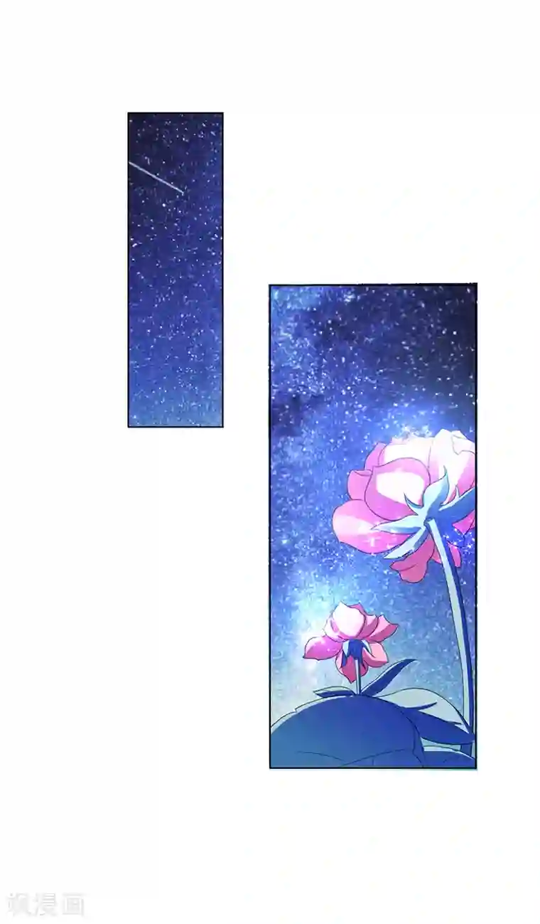 致命宠情:总裁纳命来第74话 你认错人了