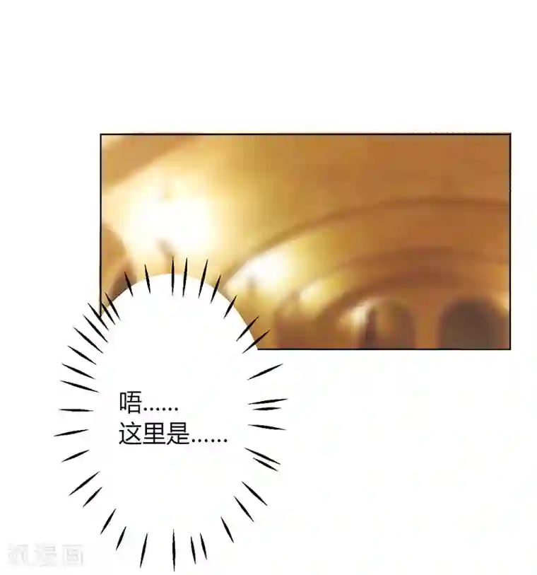 致命宠情:总裁纳命来第80话 凶残的报复