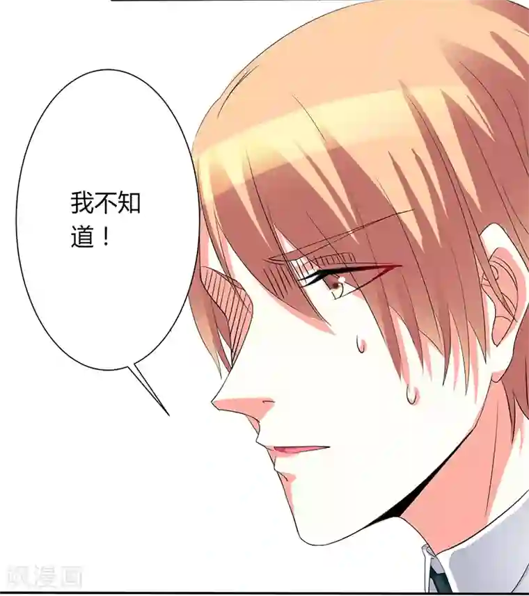 致命宠情:总裁纳命来第92话 谁是莫小黛