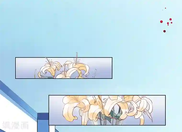 致命宠情:总裁纳命来第109话 她就是皇甫云敛的命脉