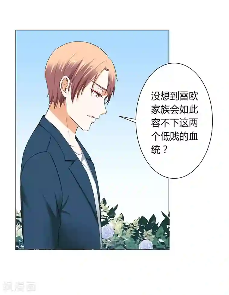 致命宠情:总裁纳命来第117话 这一生是我负了她