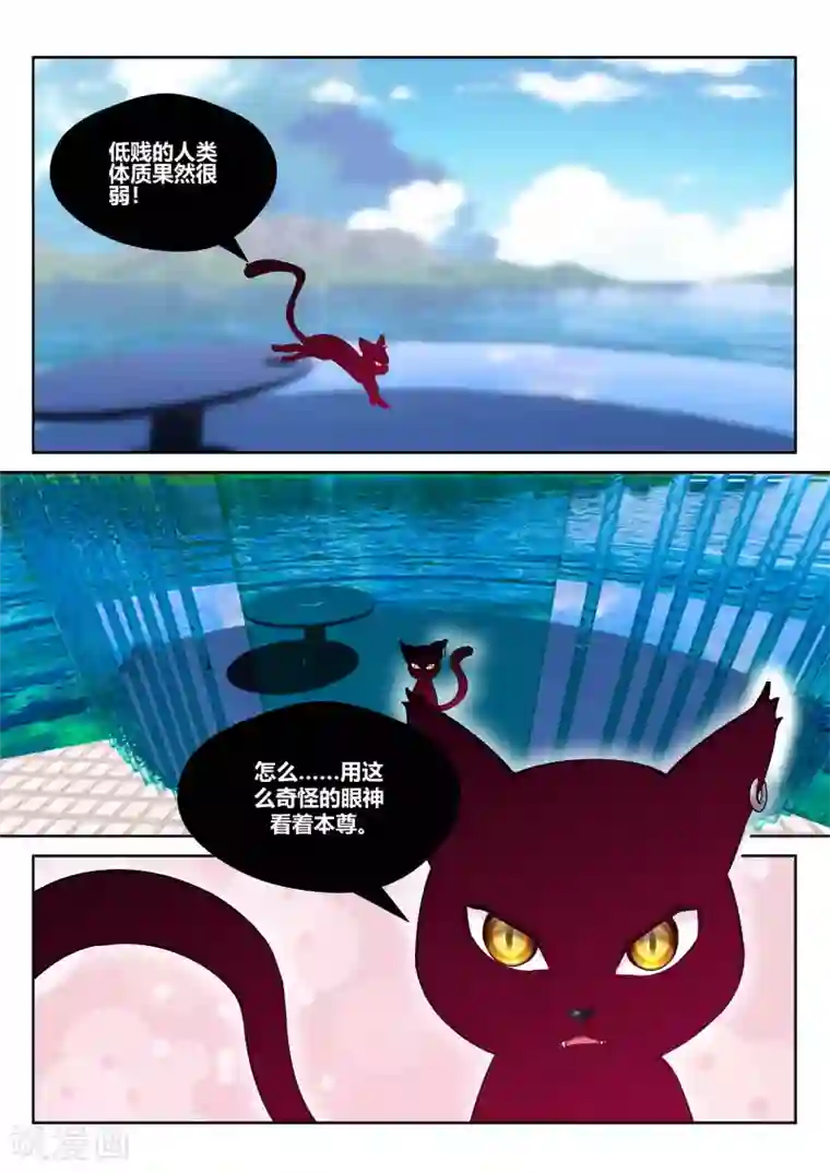 我和反派大神私奔了第23话