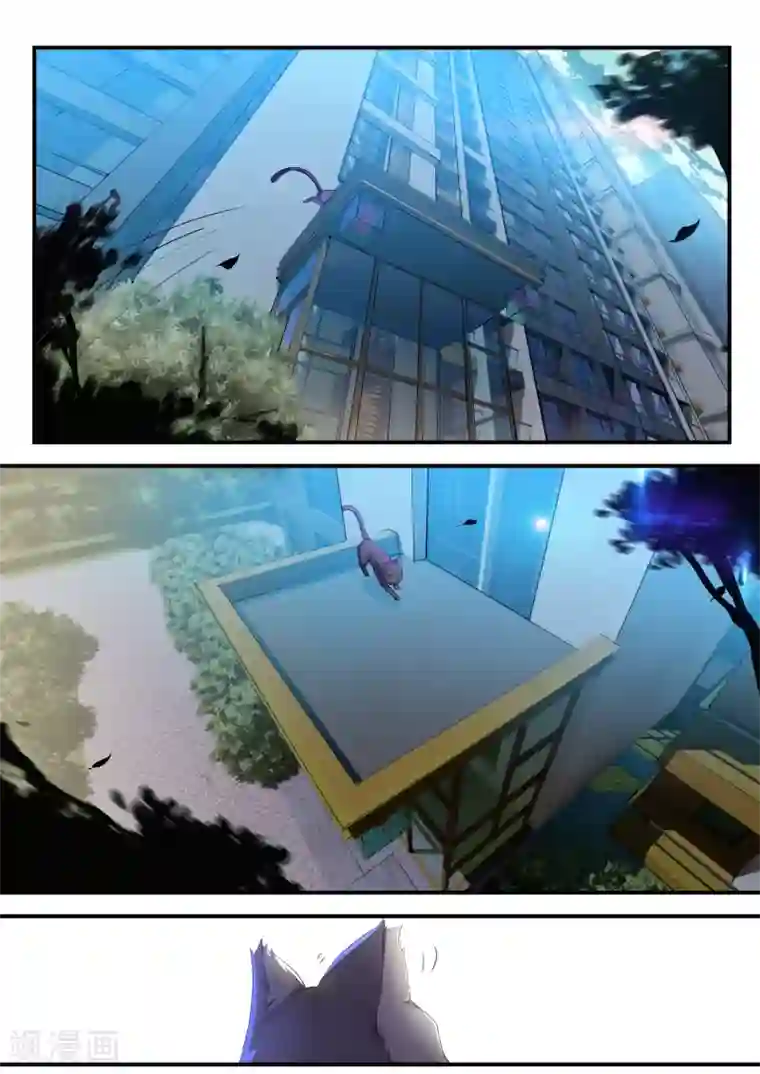 我和反派大神私奔了第60话